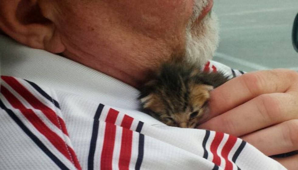 Man Rescues a Helpless Kitten from Dumpster, the Kitty Rescues Him Too!