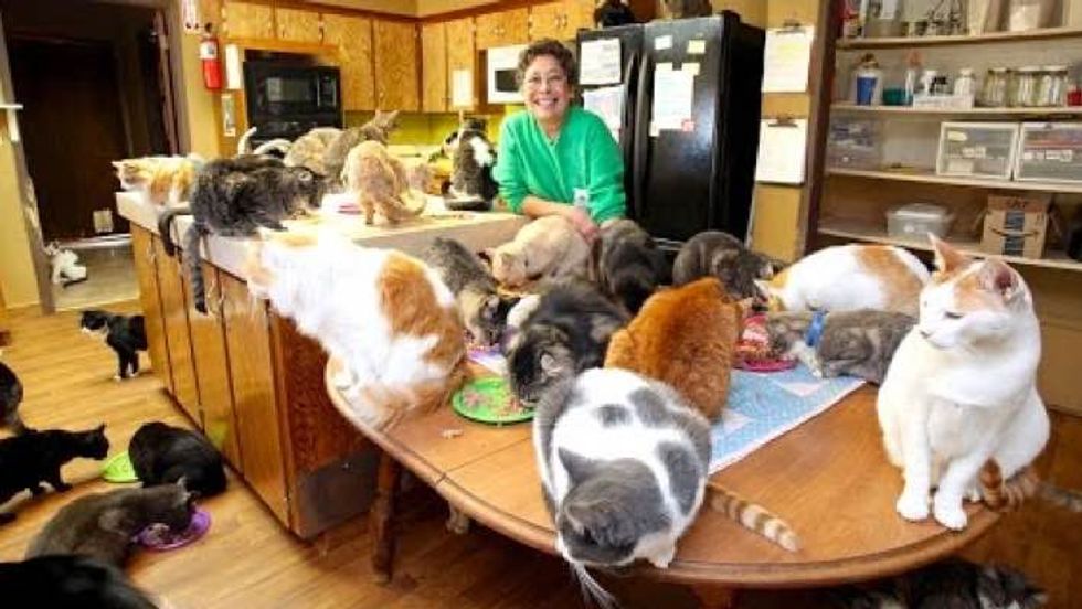 Cat Lady Lives with 1100 Rescue Kitties for a Good Cause!