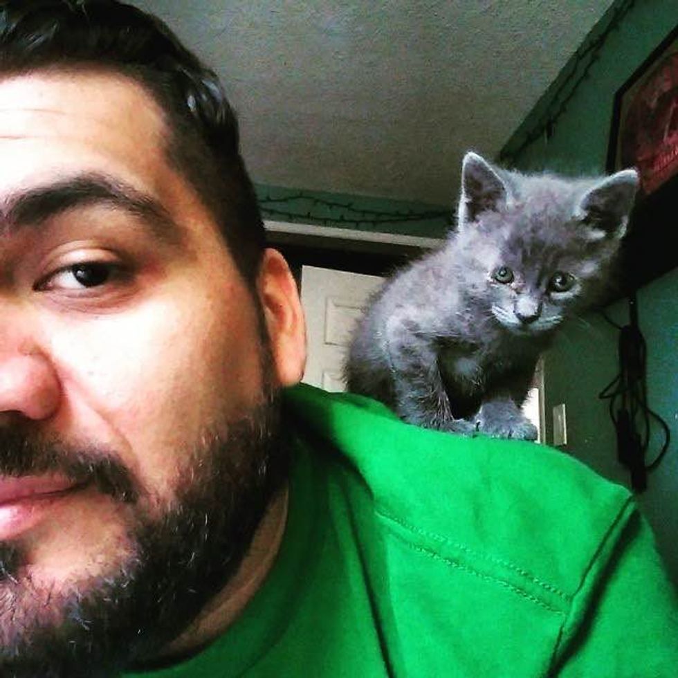 Man Finds Tiny Newborn Kitten Alone In the Rain - Love Meow