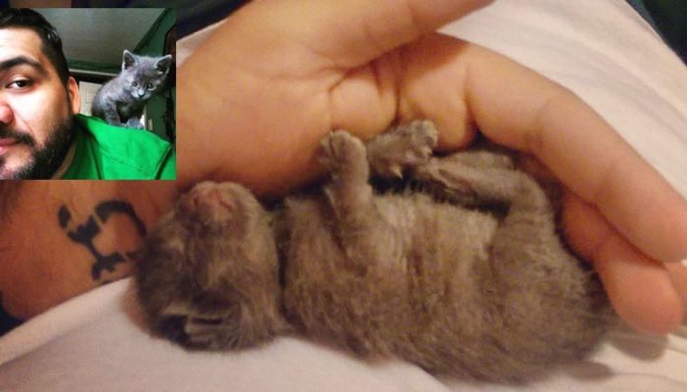 Man Finds Tiny Newborn Kitten Alone In the Rain