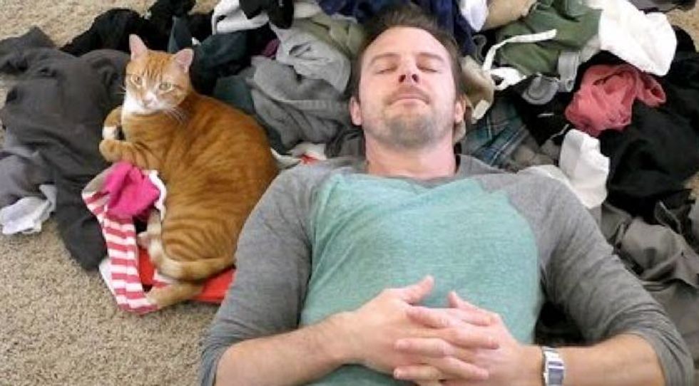 Cat People Will Understand What this Guy Does for His Cats