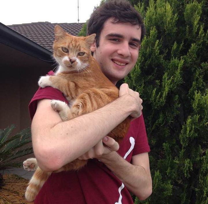 Rescue Cat Leaped onto Boy's Lap for Affection, and After 11 Years, They Remain Inseparable!