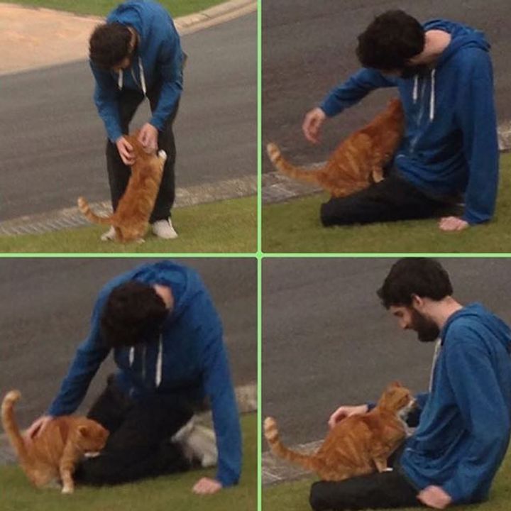 Rescue Cat Leaped onto Boy's Lap for Affection, and After 11 Years, They Remain Inseparable!