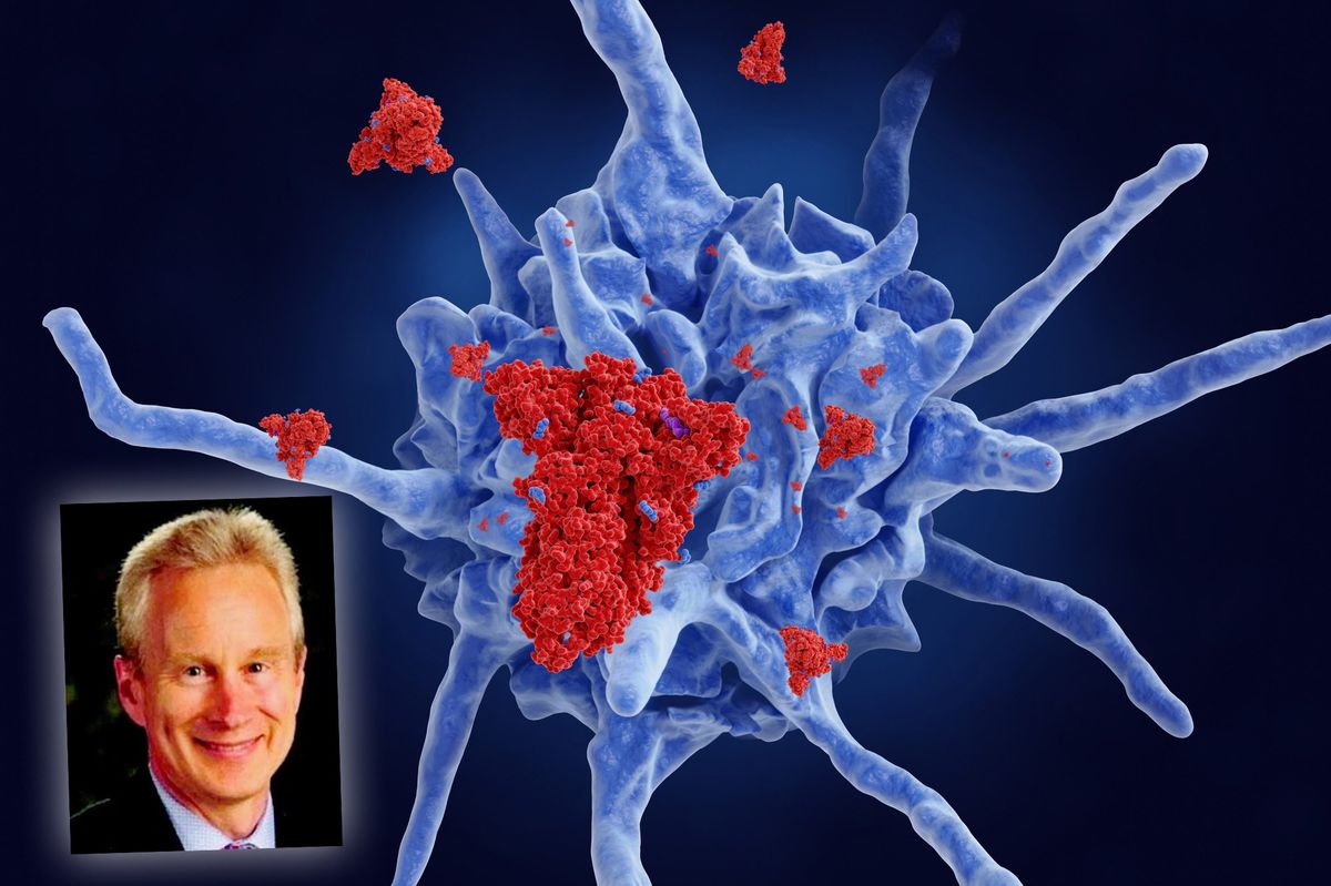 «Ecco come disintossicarsi dalla Spike»