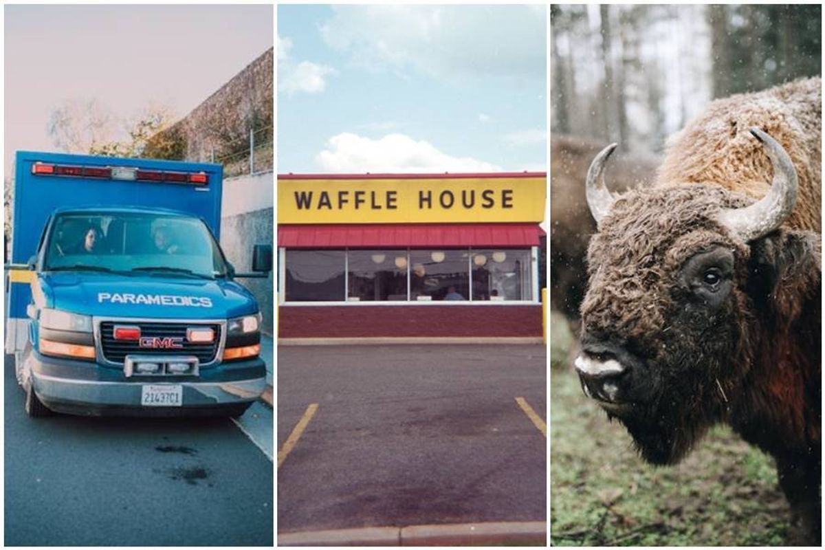 america, american tourists, national parks