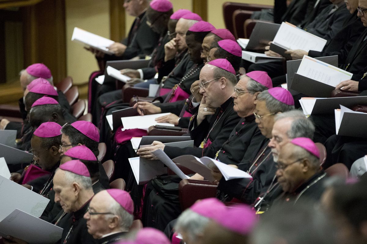 Per i vescovi pure il Sinodo inquina