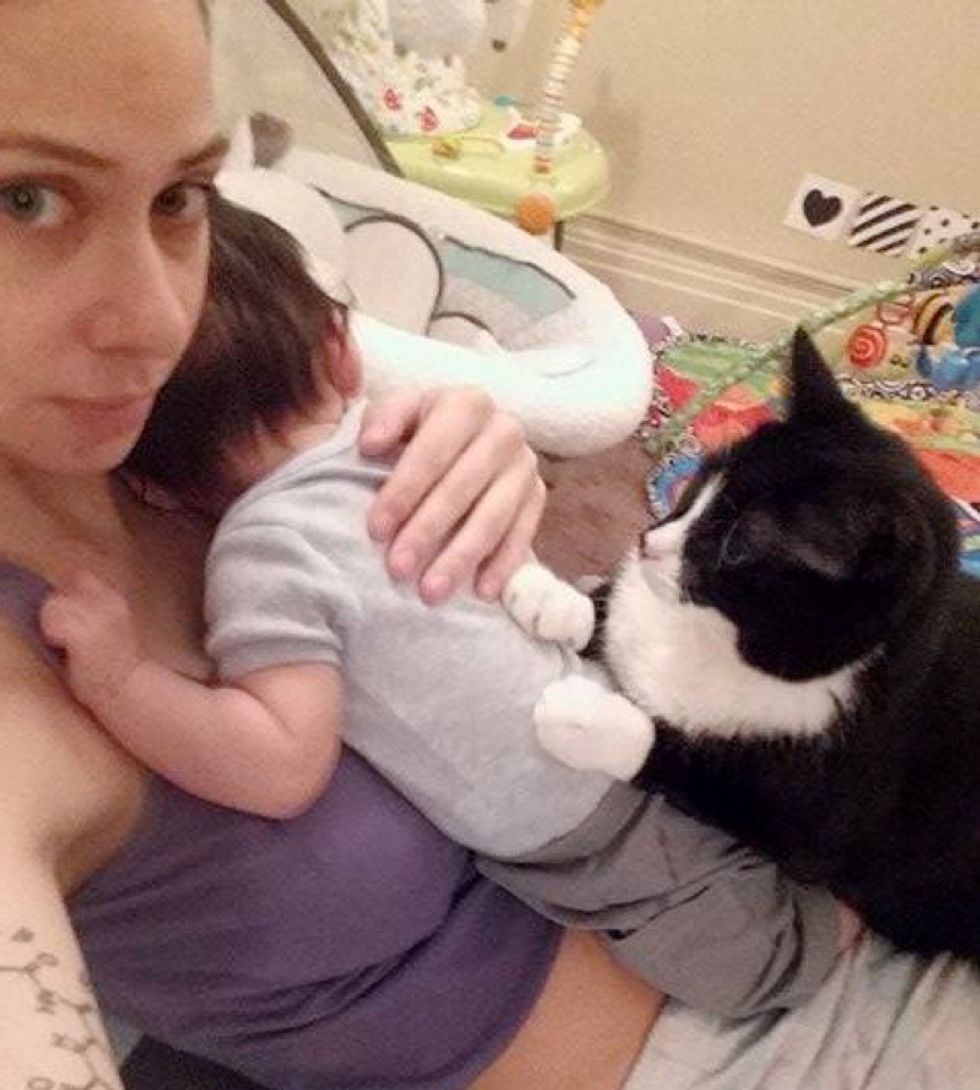 cat keeps newborn baby safe snuggle cuddle