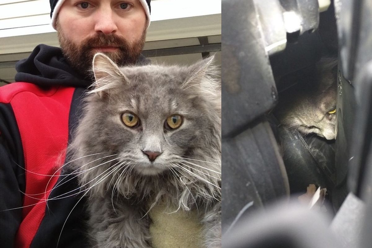 man saves cat trapped in car engined and reunites him with family