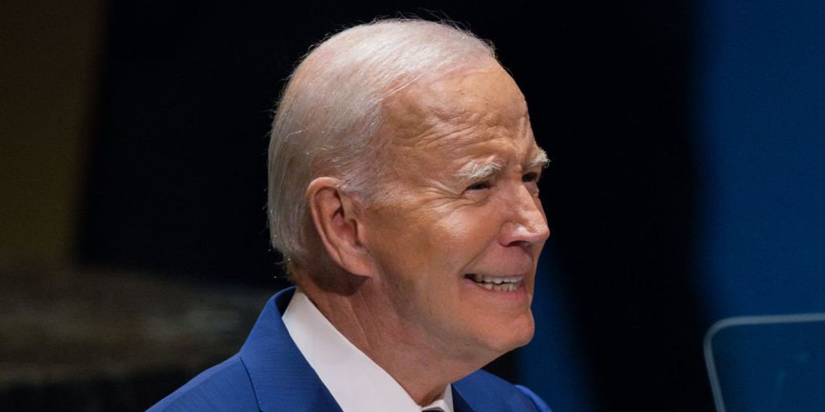NextImg:Biden, whose son presently faces felony gun charges, to announce creation of a federal gun control office ahead of 2024 election: Report
