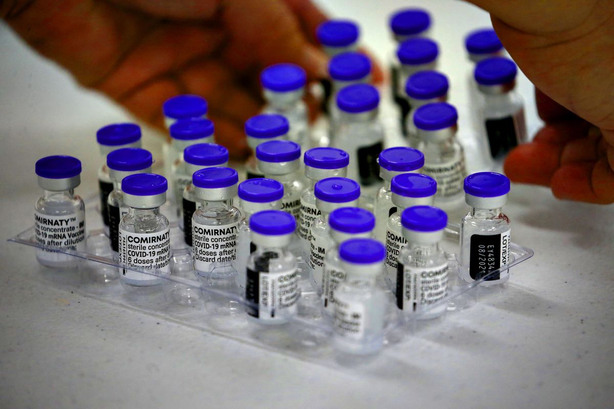«I vaccini di Pfizer contaminati con Dna». La scoperta choc del prof pro iniezioni