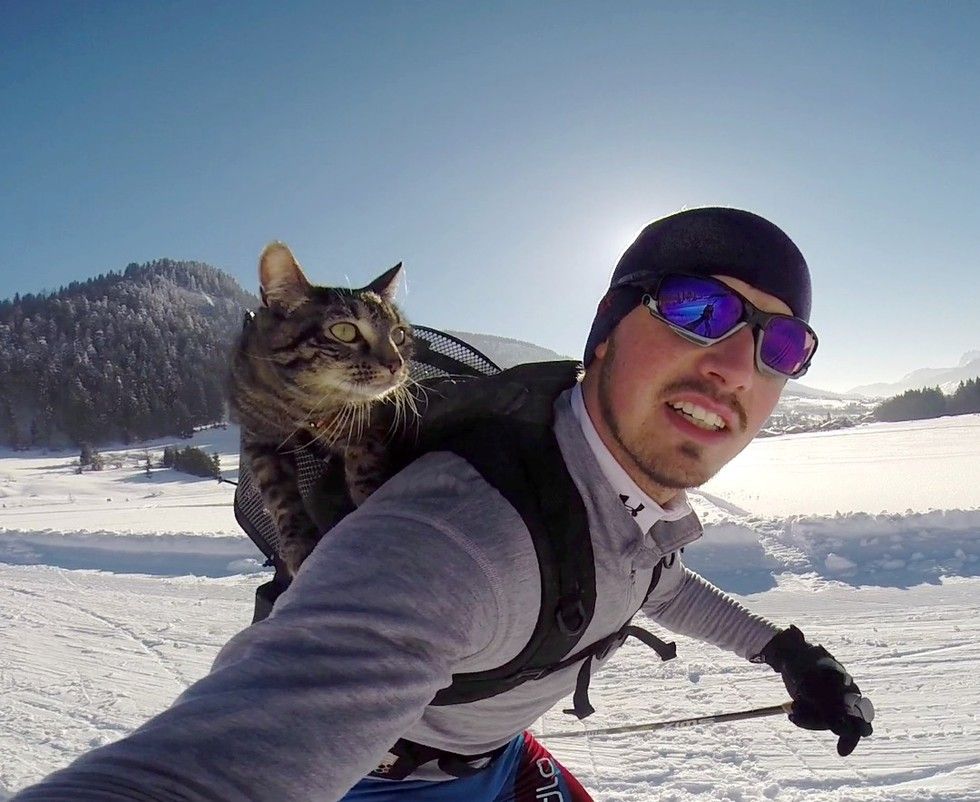 man adopted shelter cat goes on adventures with her