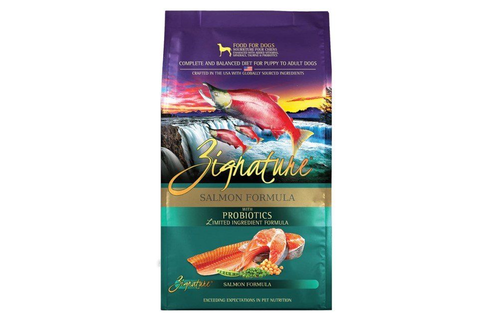 Zignature Salmon Formula dog food bag with vibrant fish imagery.