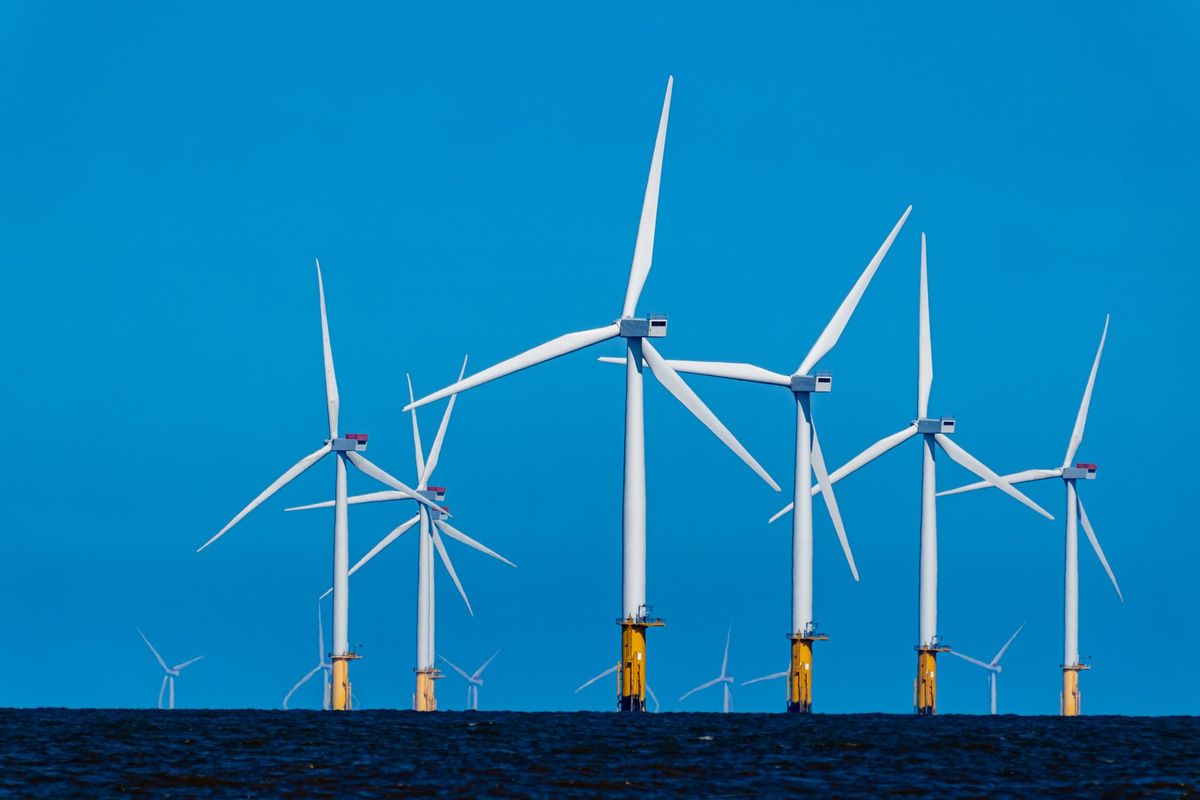 «Le pale eoliche? Danni sociali ed ecologici»