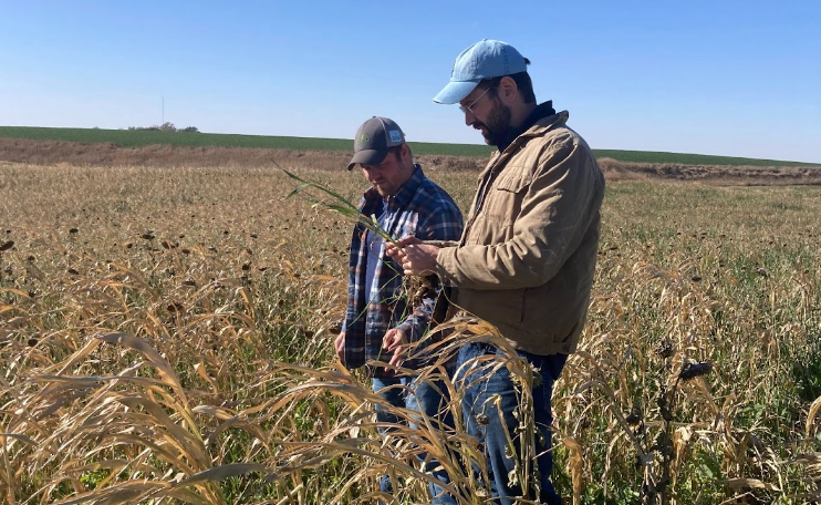 You can now taste the first tortilla chips made with certified regenerative corn