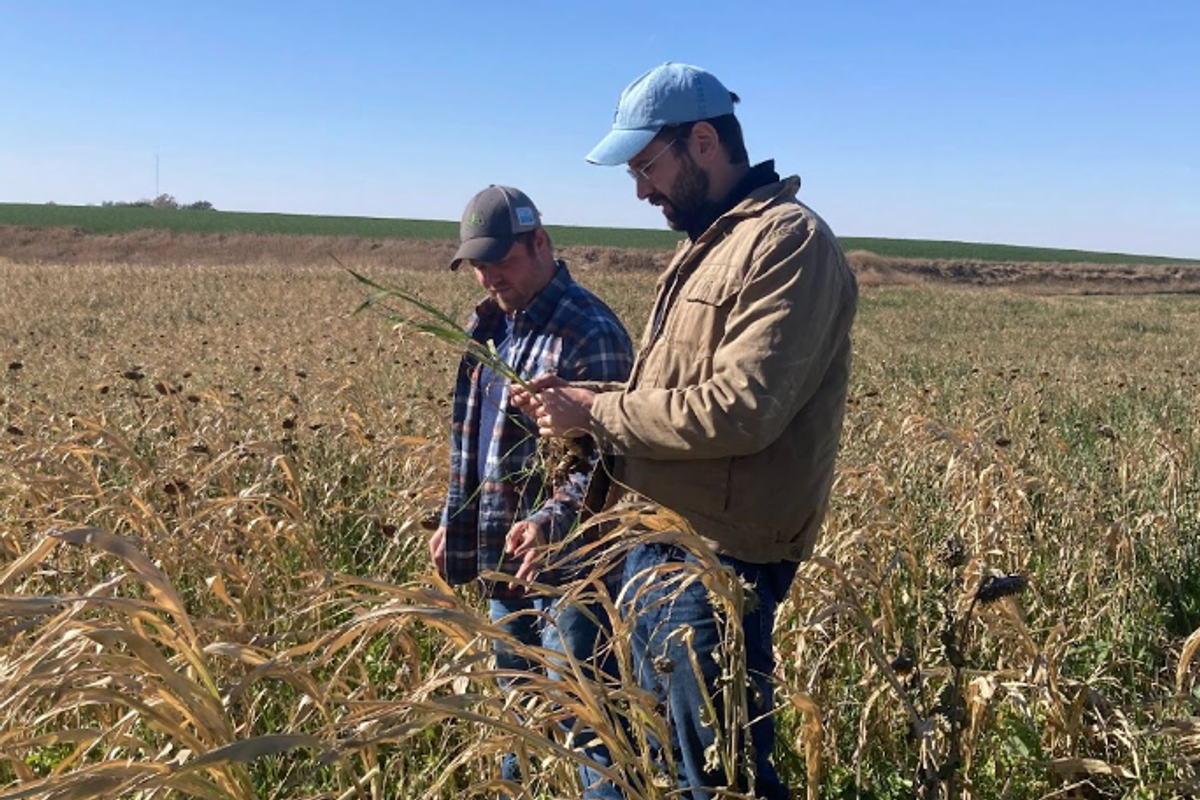 You can now taste the first tortilla chips made with certified regenerative corn