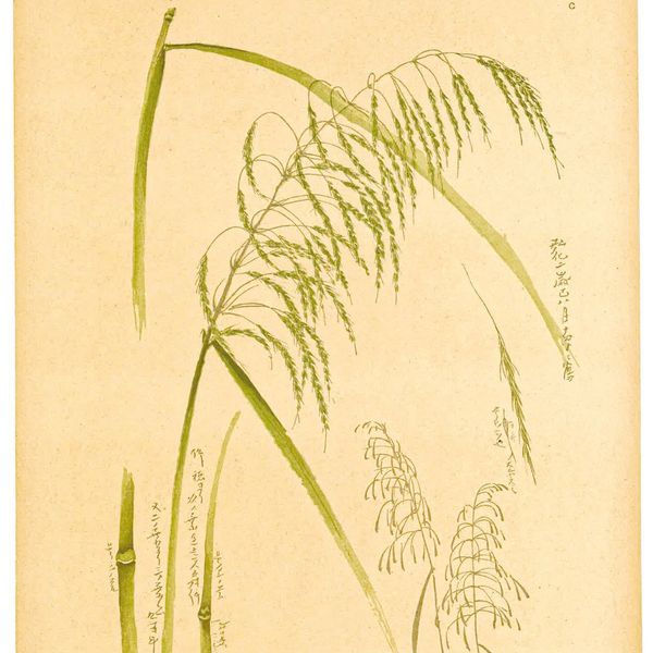 Vincent Van Gogh, cultura e arte, in mostra al MUDEC di Milano