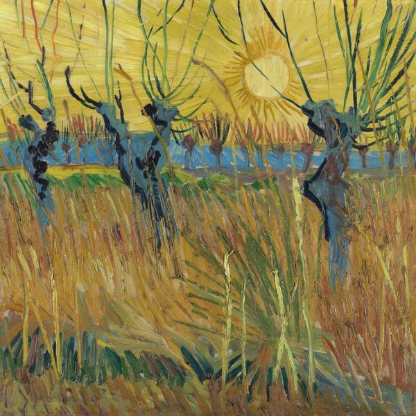 Vincent Van Gogh, cultura e arte, in mostra al MUDEC di Milano