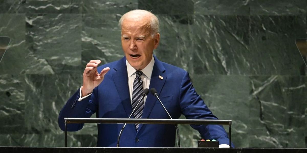 NextImg:Horowitz: Forget the cartels, Biden is flying illegal aliens directly into US airports