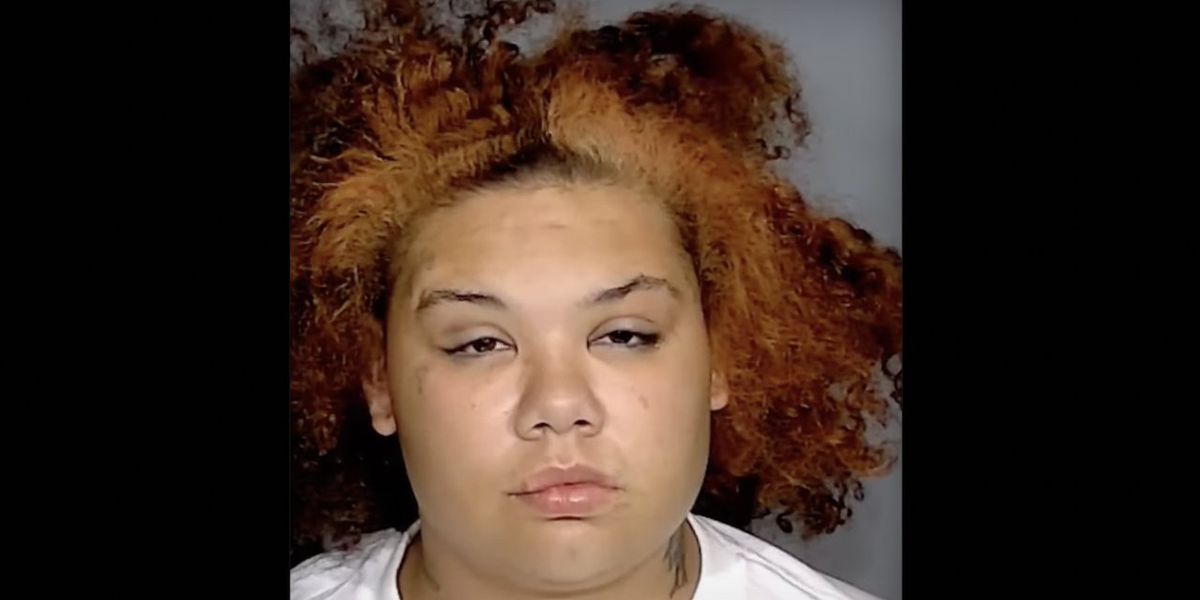 NextImg:Woman claims she tried to stab her pit bull for eating her chicken sandwich and accidentally stabbed her 1-year-old niece instead, police say