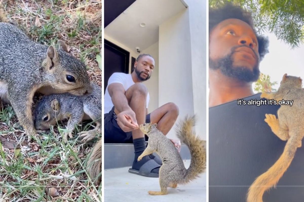 man feeding and caring for squirrels