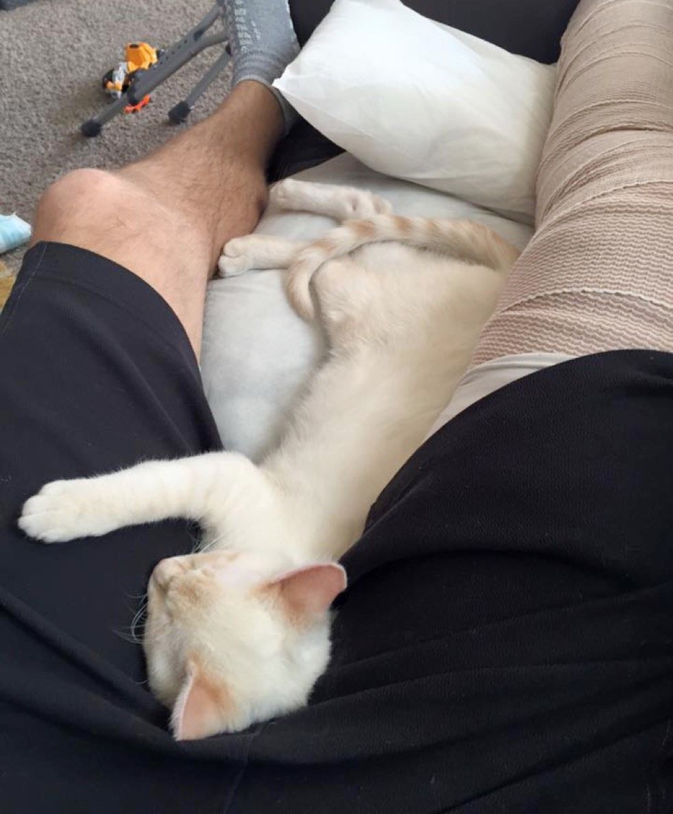 Cat Helps Human Dad Heal from Broken Leg and Wouldn’t Leave His Side
