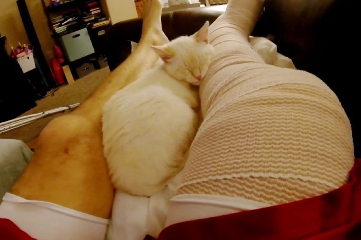 cat helps human dad heal from broken leg