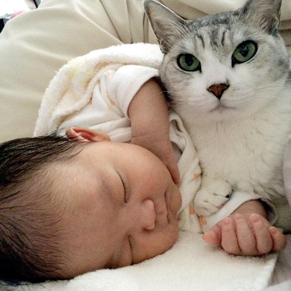 15 year old cat guards baby sister