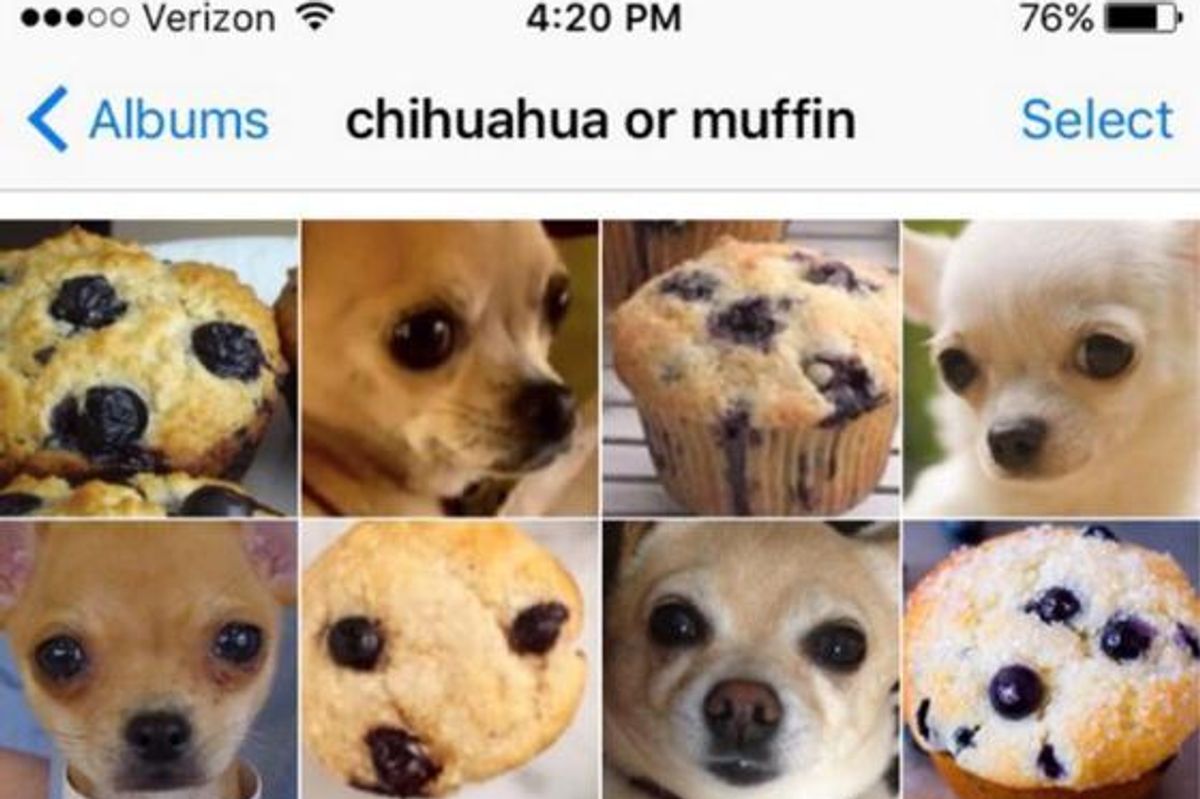 This Puppy Or Bagel Meme Is The Best Thing To Happen To The Internet Paper