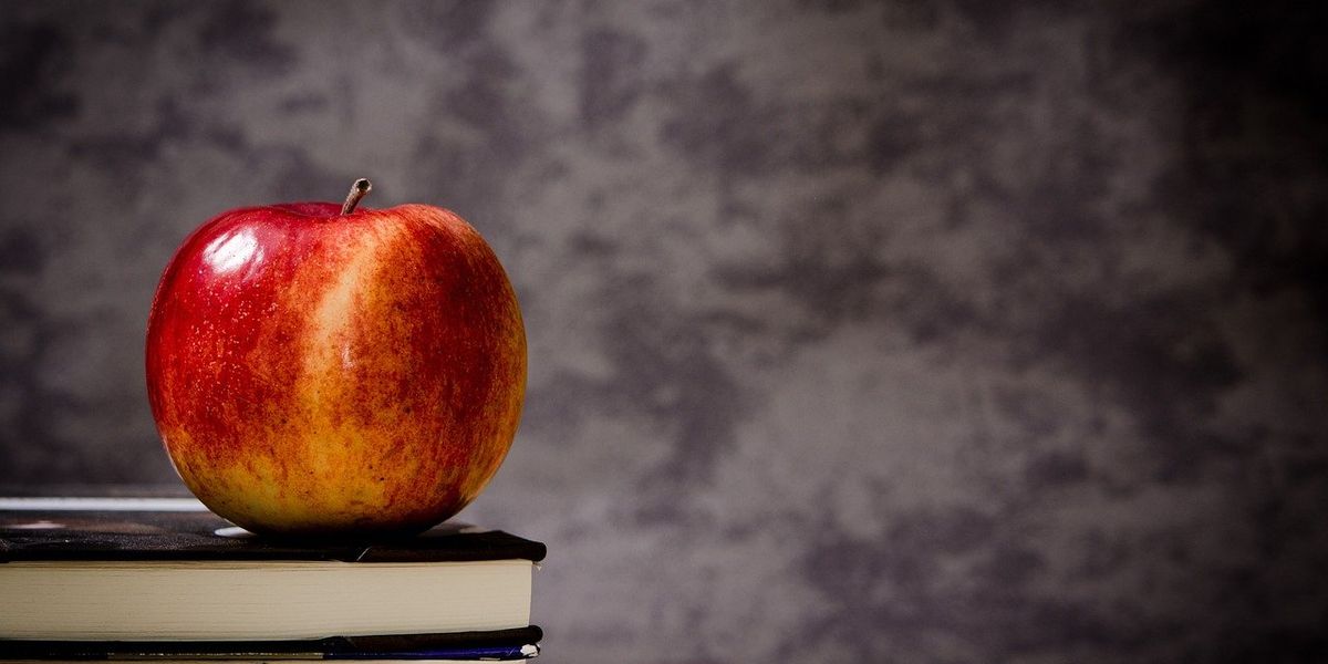 NextImg:New York school teachers charged with punching, forcibly touching 12-year-old students
