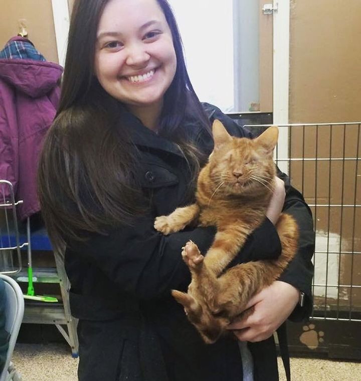 blind cat becomes shadow of his human follows her everywhere