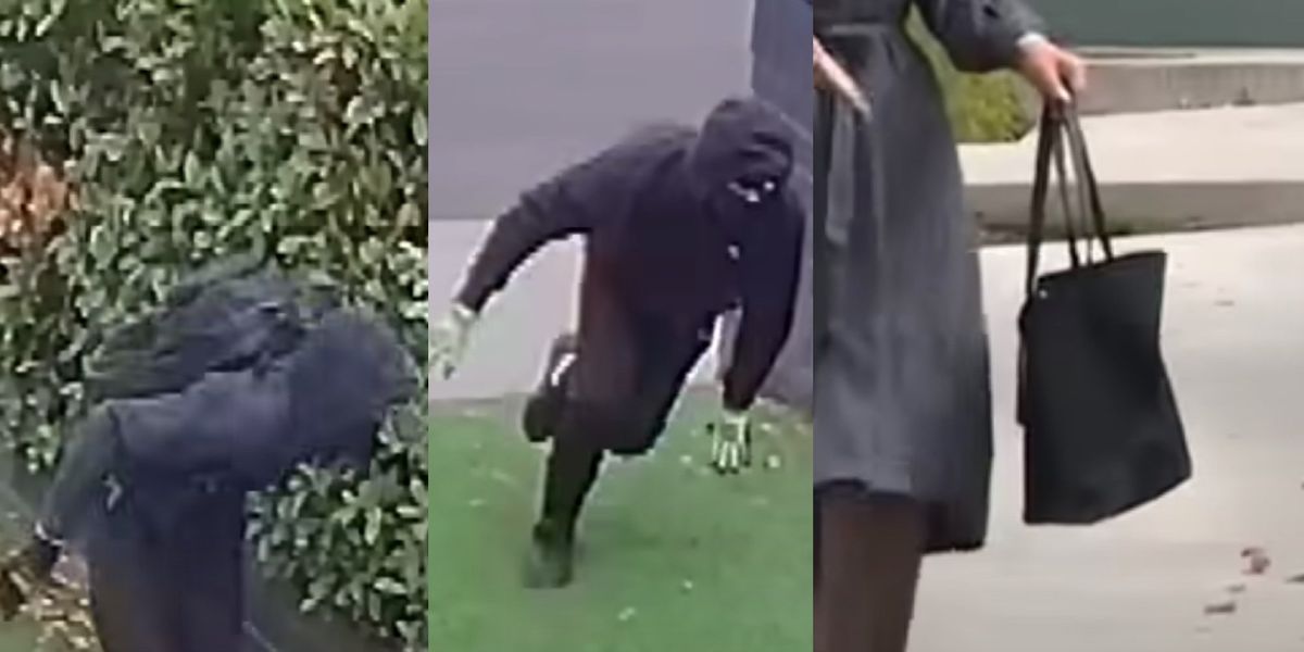 NextImg:Burglary victim gets the last laugh after using tracker in designer purse to lead police to suspects