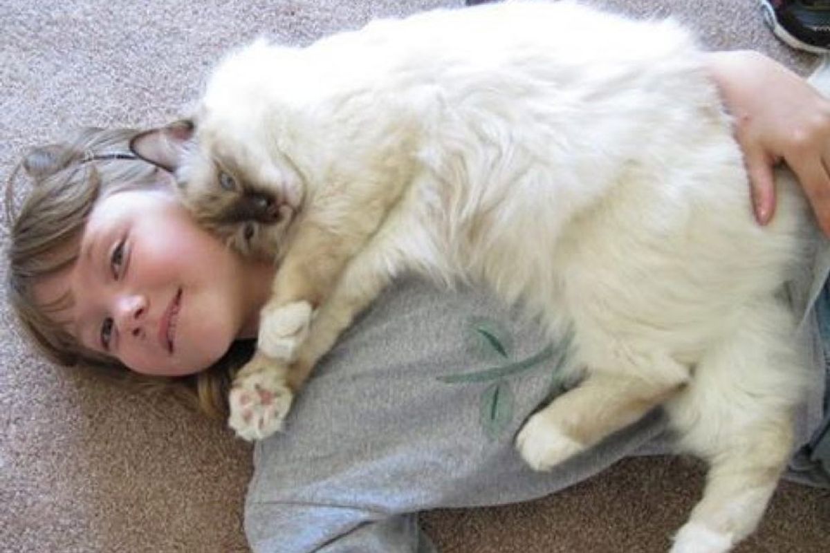 raul therapy cat helps children learn and read