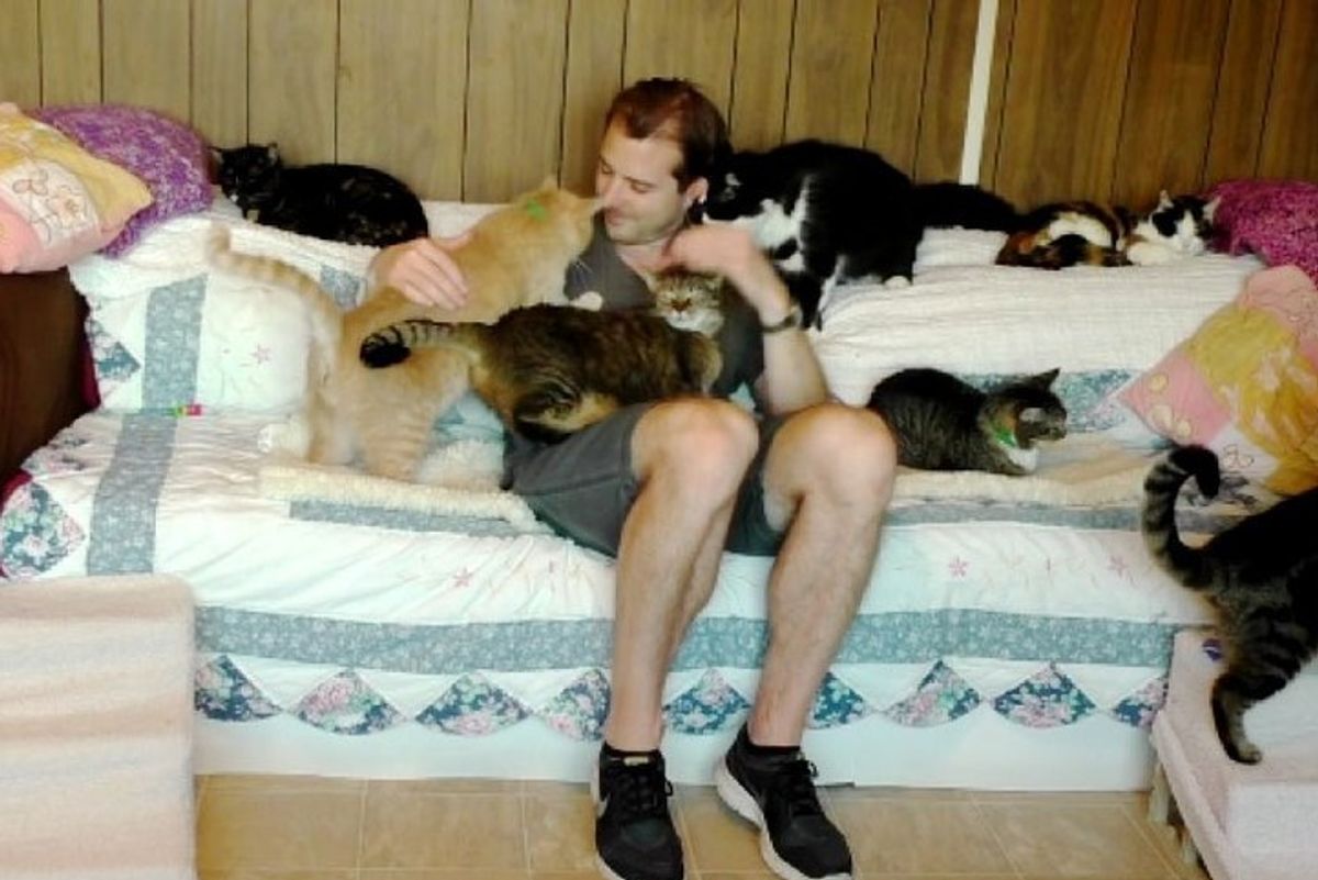 cat loving man gets kitty therapy from rescue cats the cat house on the kings