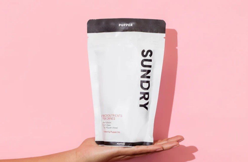 Hand holding a Sundry dog food bag against a pink background.