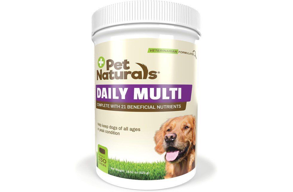 Best dog deals vitamins 2019