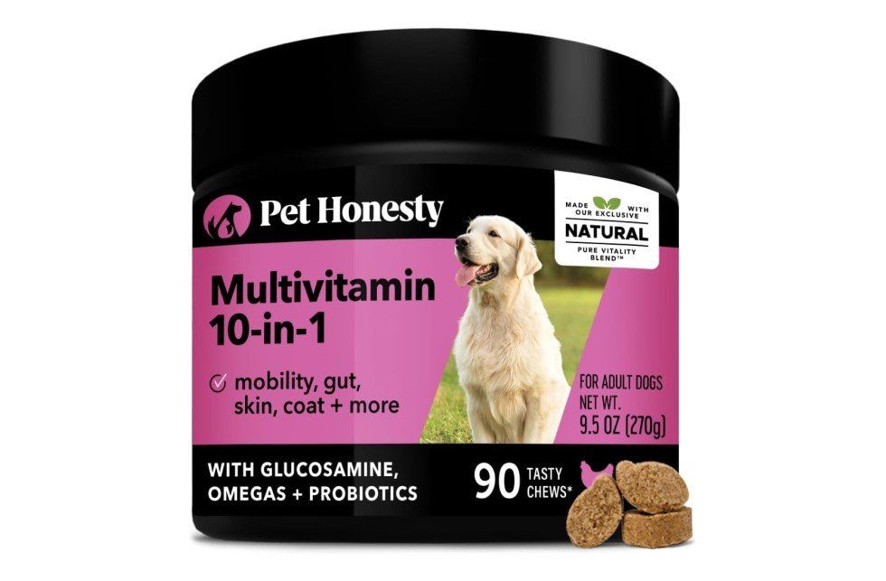 Pet Honesty multivitamin jar for adult dogs with a Golden Retriever image.