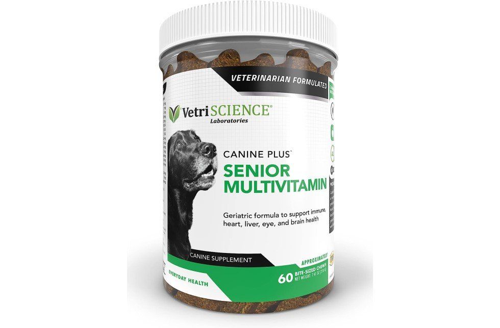 Best multivitamin shop for dogs