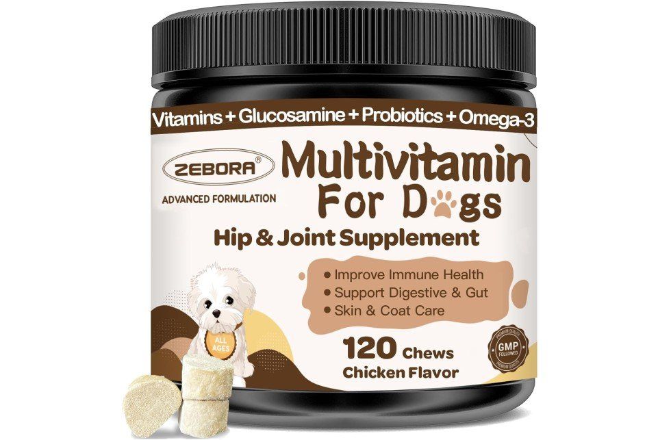 Dog multivitamin supplement jar with 120 chicken-flavored chews, featuring health benefits.