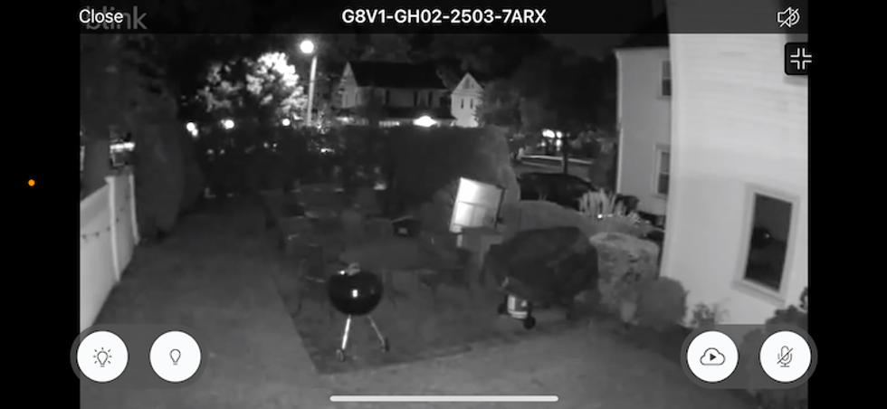 Night vision from the Blink app