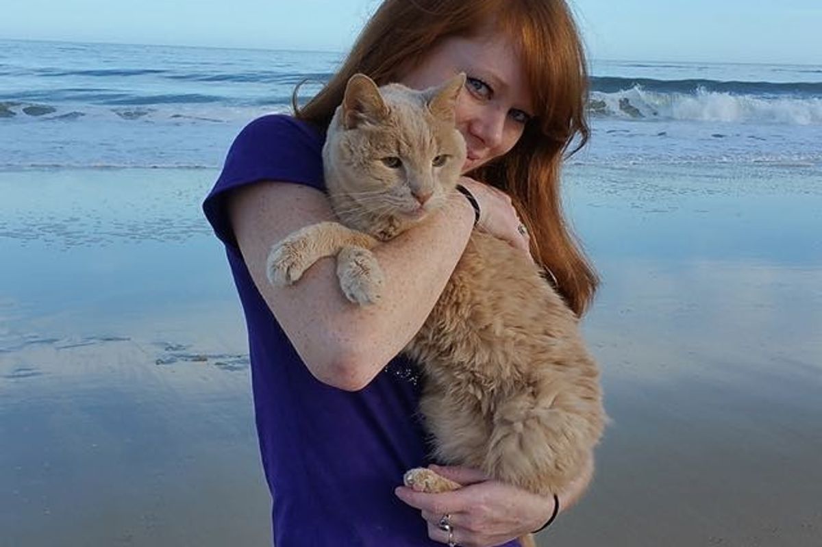 Woman Saves 21 Year Old Cat, is on a Mission to Help Him Live Out His Best Life
