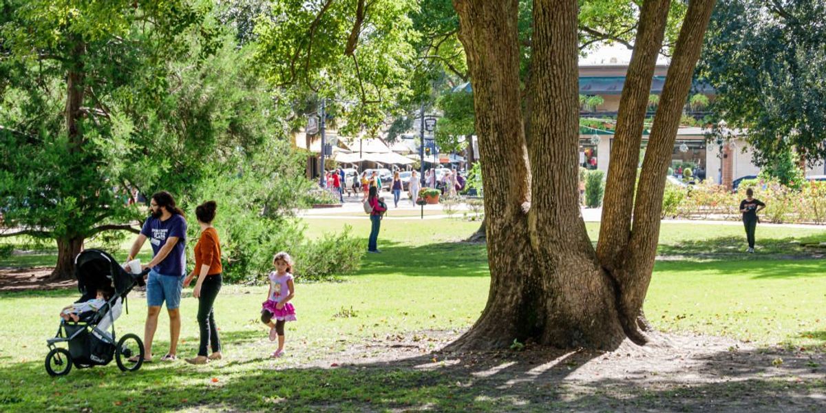 Biden admin awards $1 billion to improve 'tree equity,' expand access to green spaces