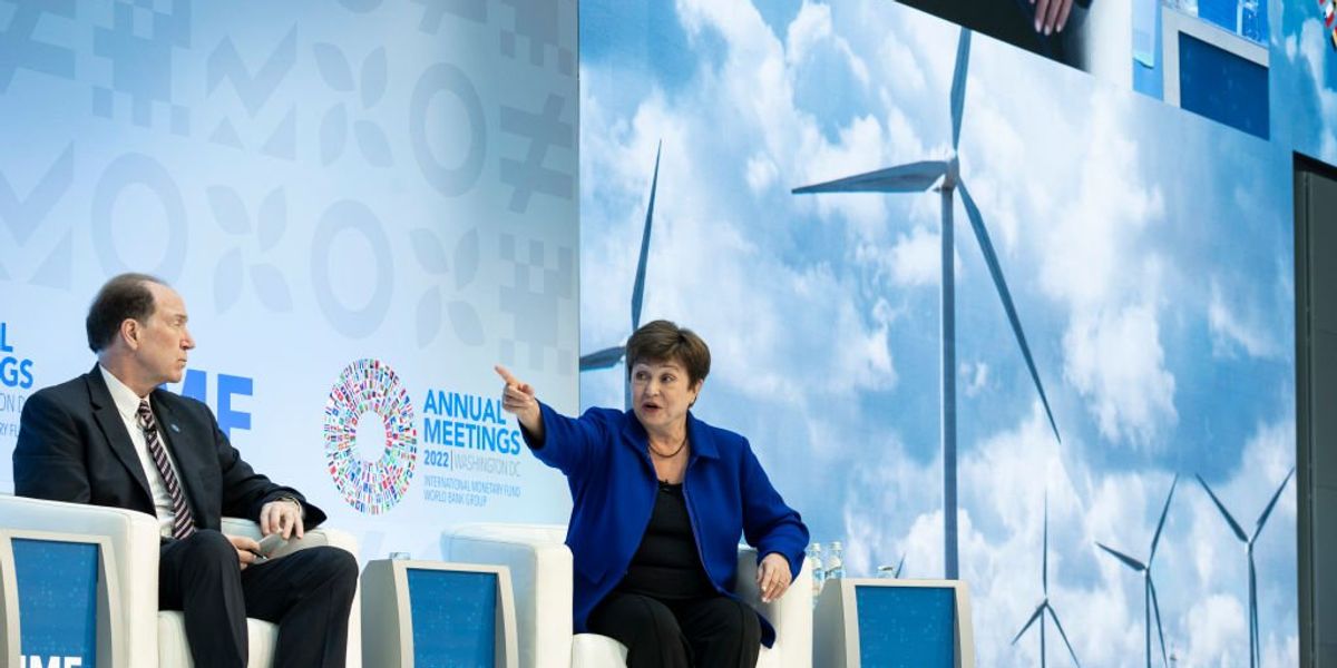 Analysis: Carbon offsets are fake, study finds