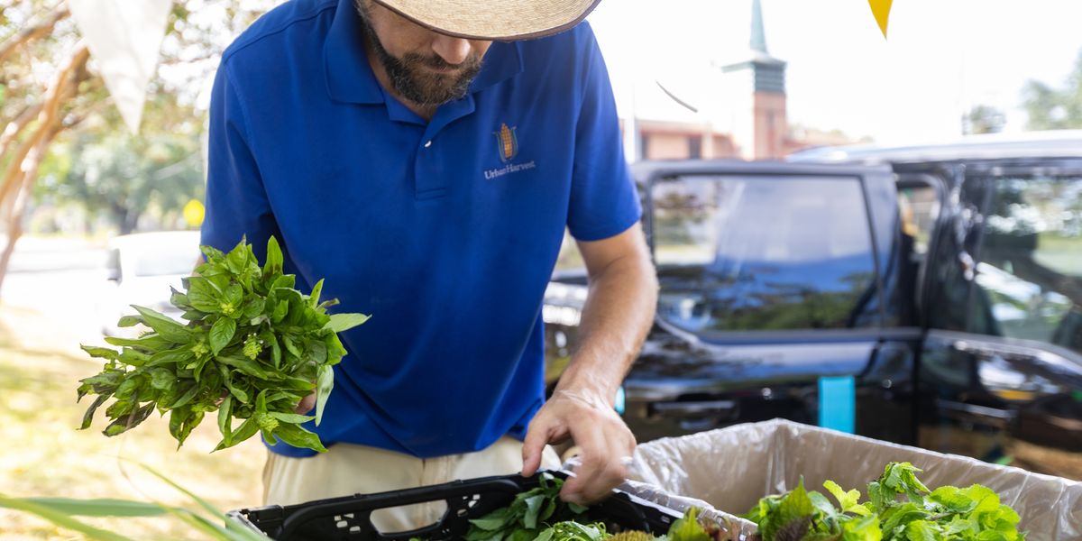 Urban Harvest taps into solar energy to serve Houston Energy Capital