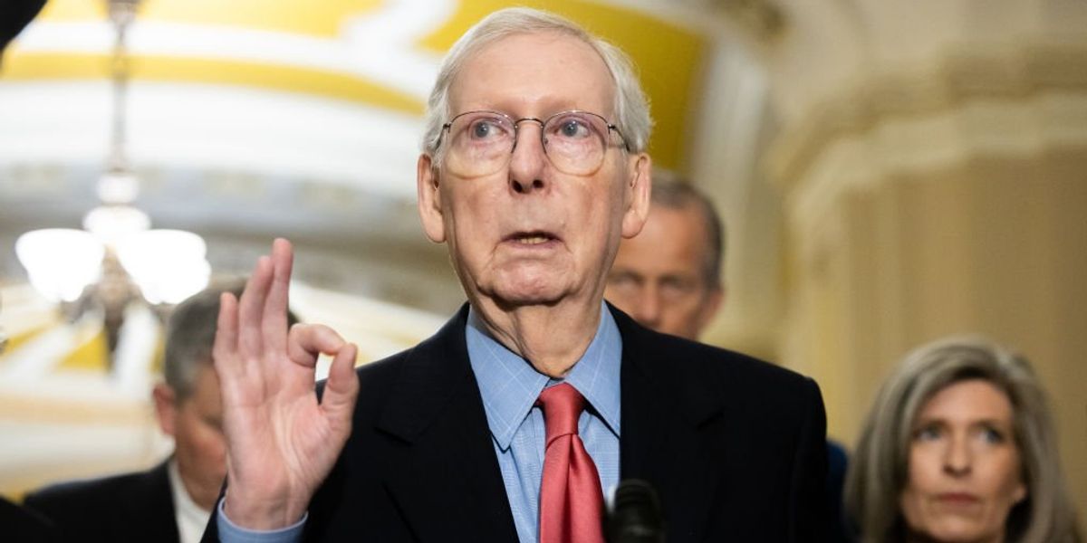 Horowitz: Who will stop the real government shutdown?