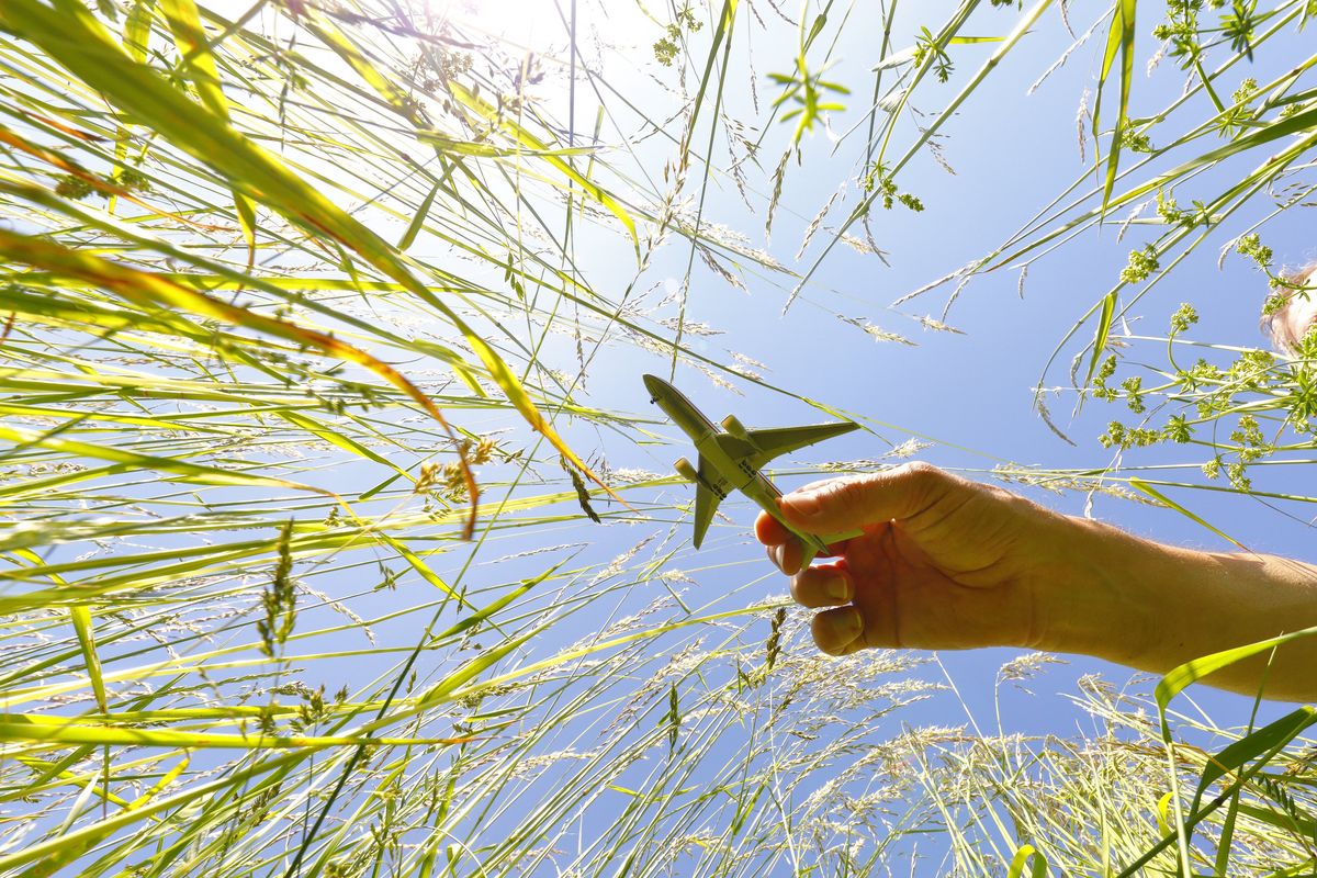 La favola del volo green