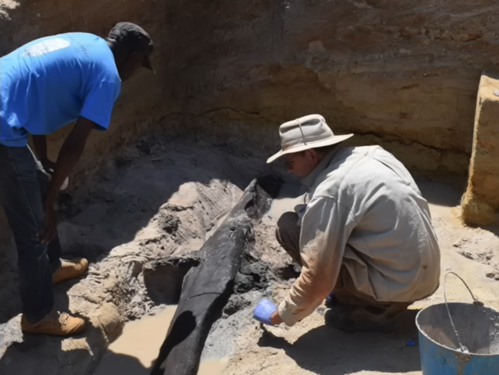 Archaeologists unearth world's oldest wooden structure, 'extraordinary' discovery said to be 476,000 years old