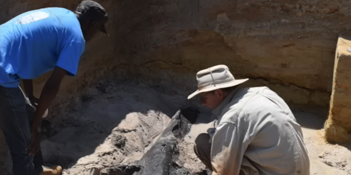 Archaeologists unearth world's oldest wooden structure, 'extraordinary' discovery said to be 476,000 years old