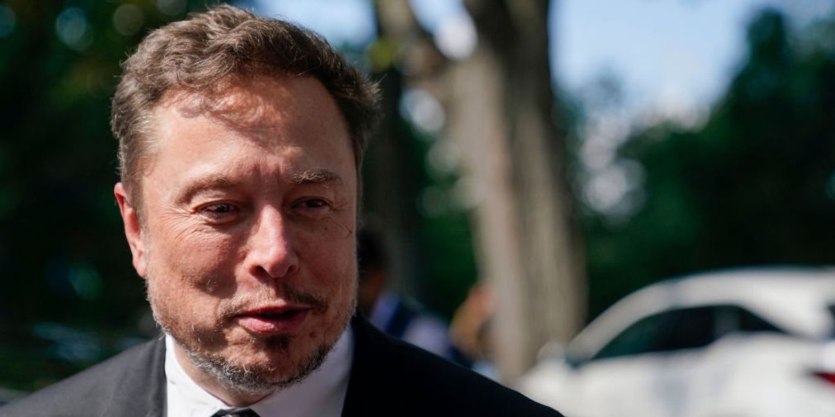 NextImg:Commentary: Attacking Elon Musk is about tearing down American excellence