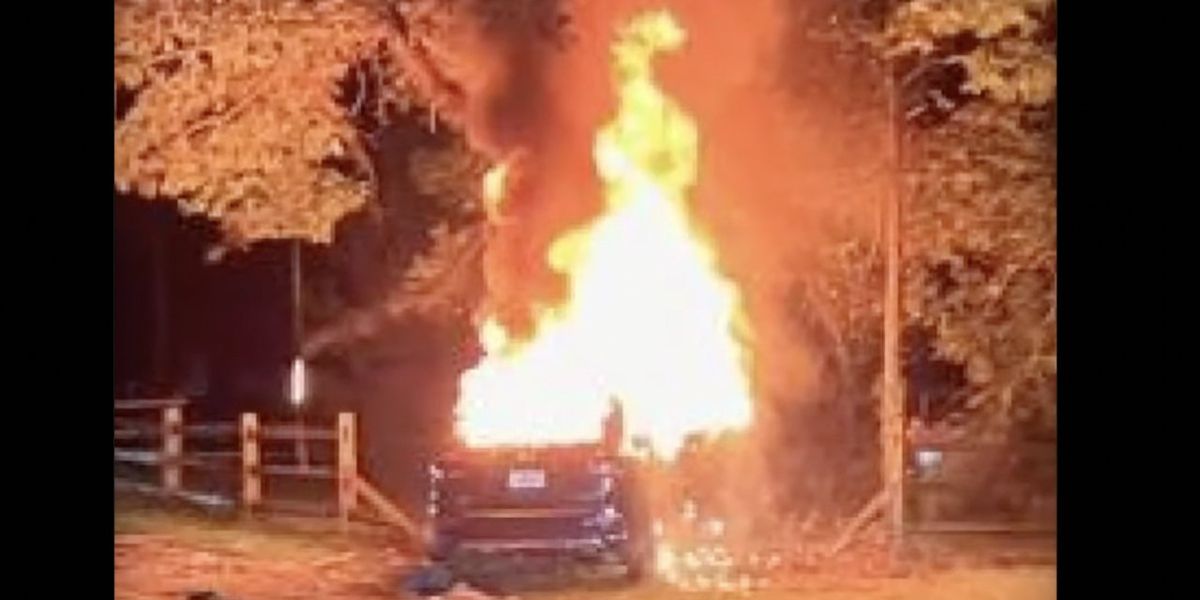 NextImg:Vehicle stolen in armed carjacking crashes into tree, bursts into flames, kills all 4 teens inside; 2 were cousins who aunt says were picked up, likely didn't know about crime