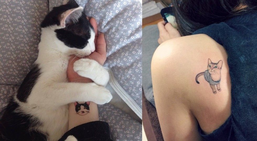 100 Cartoon Cat Tattoo Design png  jpg 2023
